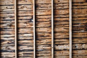 Jak impregnować drewno konstrukcyjne - co należy wiedzieć?