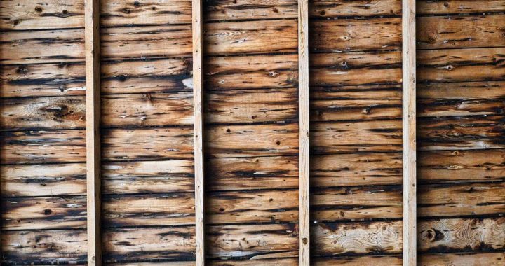 Jak impregnować drewno konstrukcyjne - co należy wiedzieć?